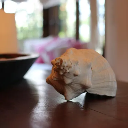 Efharis Beachfront Villa