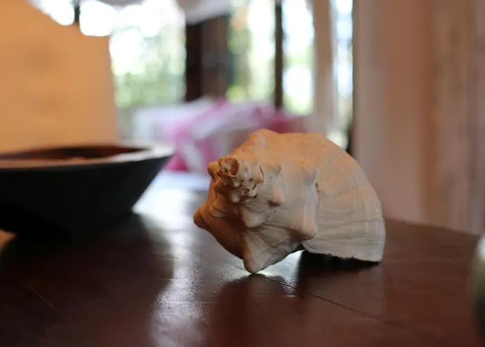 Efharis Beachfront Willa